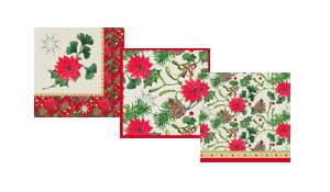 Weihnachtsserie "Winterly"