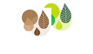 Graphic Leaves Party-Set