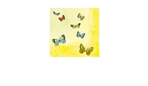 Papillons Party-Set