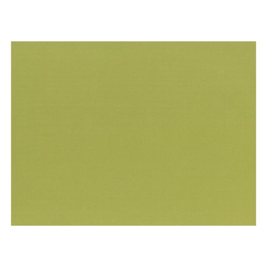 Tischsets, Papier 30 cm x 40 cm olivgrün 1