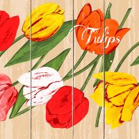 Servietten, 3-lagig 1/4-Falz 33 cm x 33 cm "Blooming Tulips"