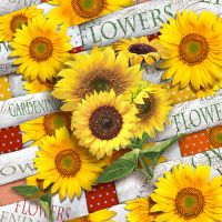 Servietten, 3-lagig 1/4-Falz 33 cm x 33 cm "Sunflower Field"